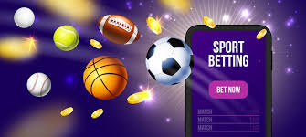 Discover the Thrills of Vivi Casino Discover the Thrills of Vivi Casino